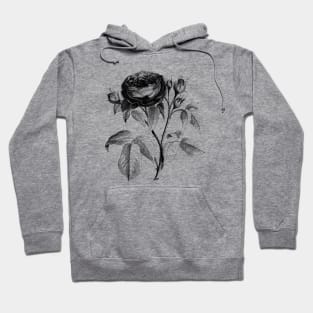 Black Rose Flower Vintage Botanical Illustration Hoodie